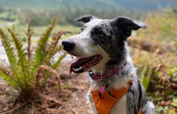 Book Zesty Teens Class Waitlist