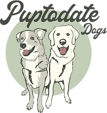 PuptodateDogs