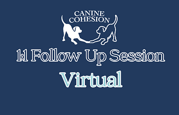 Book Follow Up Session  (Virtual)  