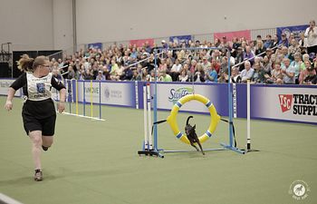 Book Agility Trial Prep