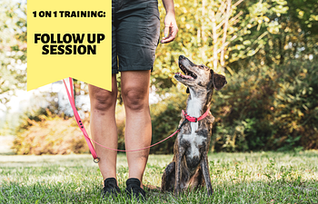 Book 1 on 1 Training: Follow-up Session