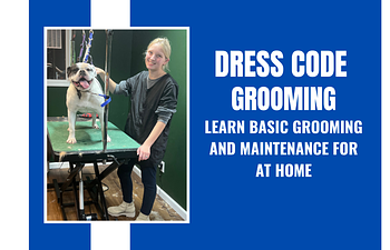 Book Dress Code - Home Grooming