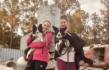 Book Mantrailing Progression