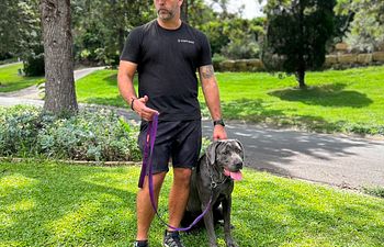 Book Private Training/Obedience Session