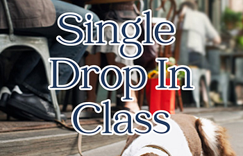Book Drop In Class - Cafe Companions