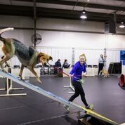 Book Beginning Agility / Confidence Building  with Jenn (5/2/26) 12:45pm* - NO CLASS 5/23 OR 6/30