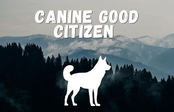 Book Canine Good Citizen 