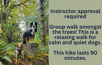 Book Out & About! on the trail- Calm Group
