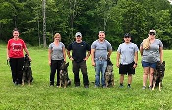 Book Foundation Obedience - Group Class