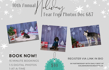 Book Fear Free Holiday Photos