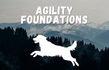 Book Agility Foundations
