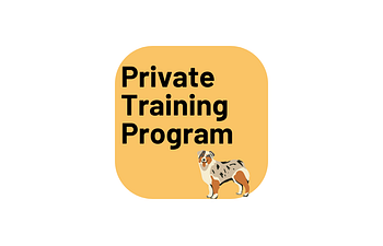 Book Private Training Session (Package Required)