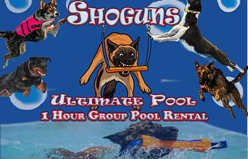Book 1 Hour Pool Party Rental