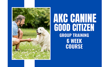 Book AKC  Canine Good Citizen 