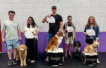 Book All Stars (Perfect Pet Advanced Obedience)