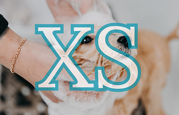 Book (C) 0-10lb | Toy Groom