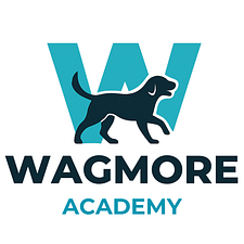 WagMore Academy LLC