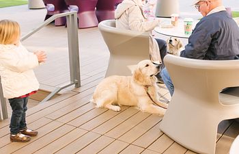 Book Workshop: Patio Pups