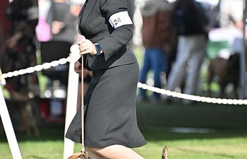 Book Conformation Handling Class