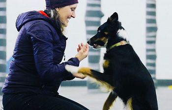 Book Private Training with Renee deVilliers