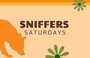Book Sniffers Saturday