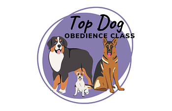 Book Top Dog Obedience Class Part 2