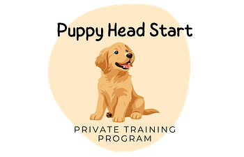 Book Puppy Head Start Private Training Program