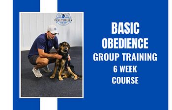 Book Basic Obedience 