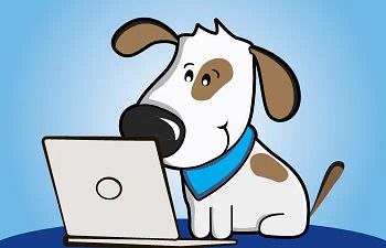 Book Basic Manners - ONLINE