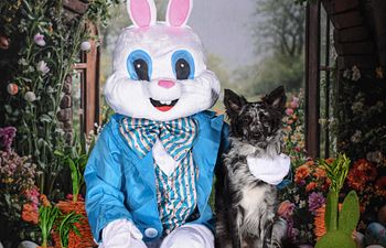 Book Easter Bunny Photos