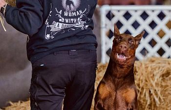 Book Barn Hunt For Fun Group Class