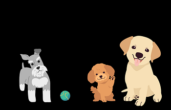 Book Puppy Socialization Class (8-12 weeks old)