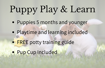 Book Puppy Play + Learn. - Trial Class