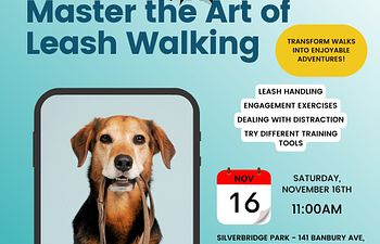 Book Loose Leash Walking Workshop