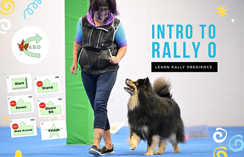 Book Intro to Rally Obedience (CARO)