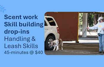 Book Scent Work Drop-In: Hunting/Handling Skill Building