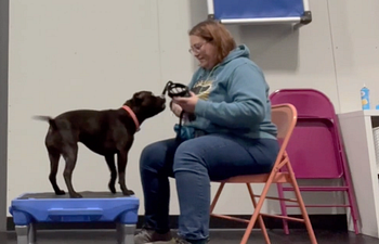 Book Introduction to Cooperative Care Class - AUDIT SLOT , Online Viewing ONLY + 2 Field Trip Observations