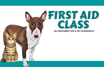 Book 8. Devon - Pet First Aid & CPR