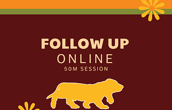 Book Follow Up Session - Online 💻