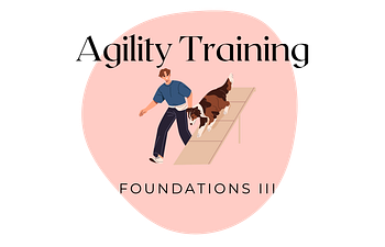 Book Agility Foundations III