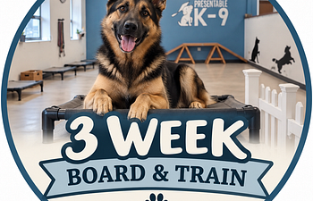 Book 3 Week Board & Train
