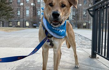 Book Impulse Control Workshop