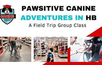 Book  Pawsitive Canine Adventures in Huntington Beach