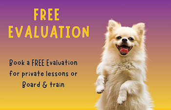 Book In-Person Evaluation (Bark Spot)