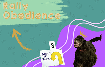 Book Rally Obedience - Building Blocks