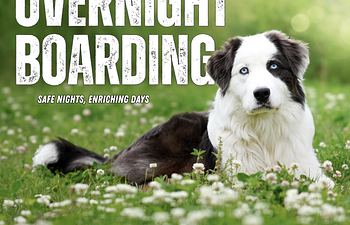 Book New Customer Overnight Boarding Service 