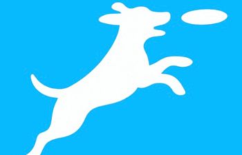 Book Disc Dog Foundations Workshop