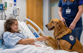 Book  Therapy Dog Basics