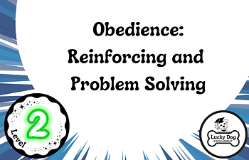 Book Level 2 | Obedience: Reinforcing and Problem Solving