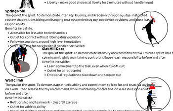 Book Gameness Relationship Control Seminar